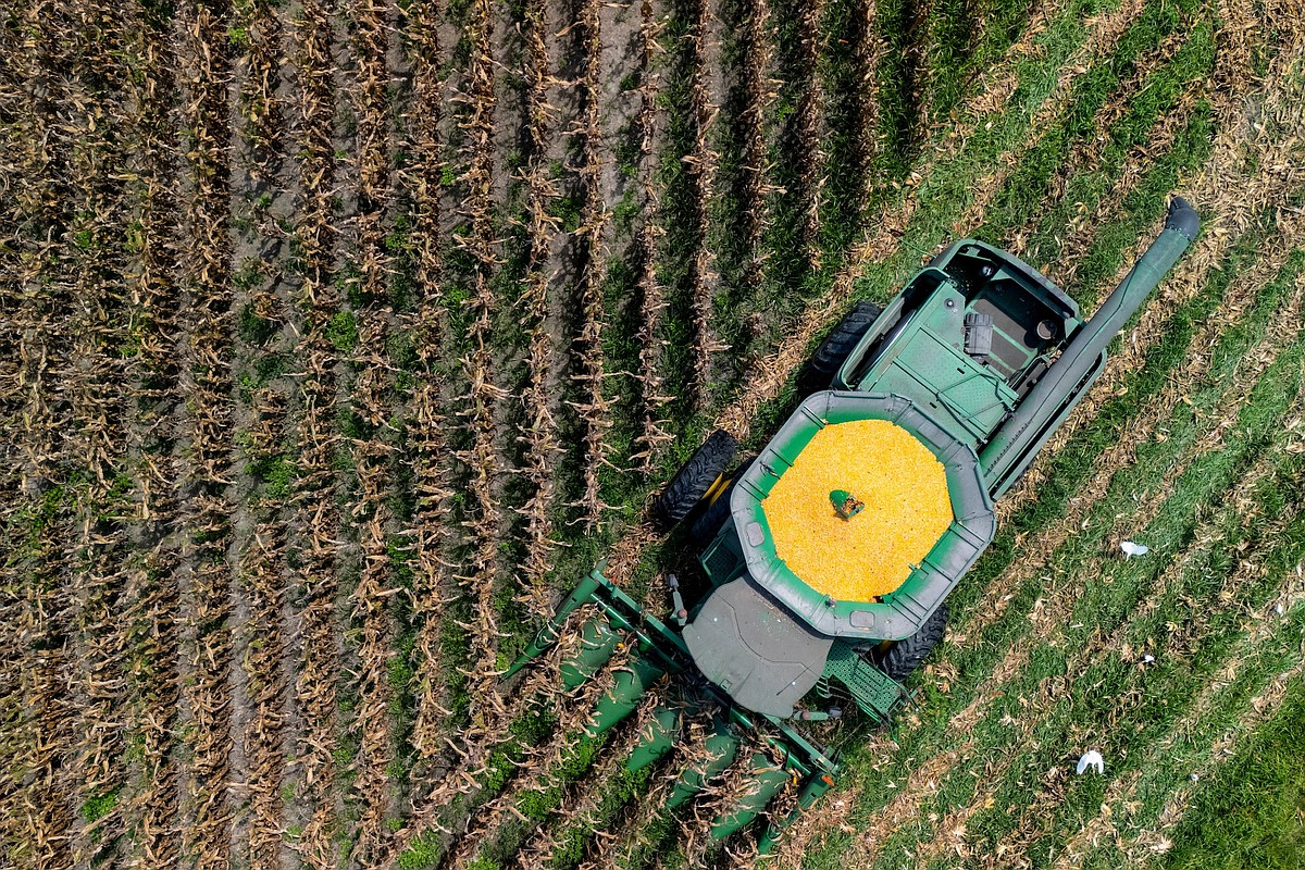 Georgia is losing farmland fast. Is a state conservation fund enough to save it?