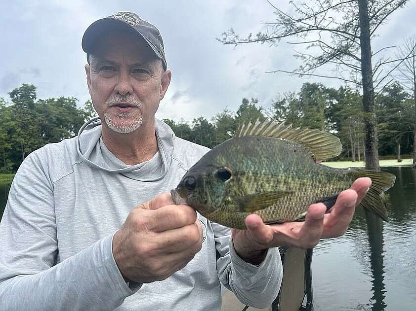 Arkansas Outdoors: Game and Fish Commission program helps landowners achieve great bass fishing