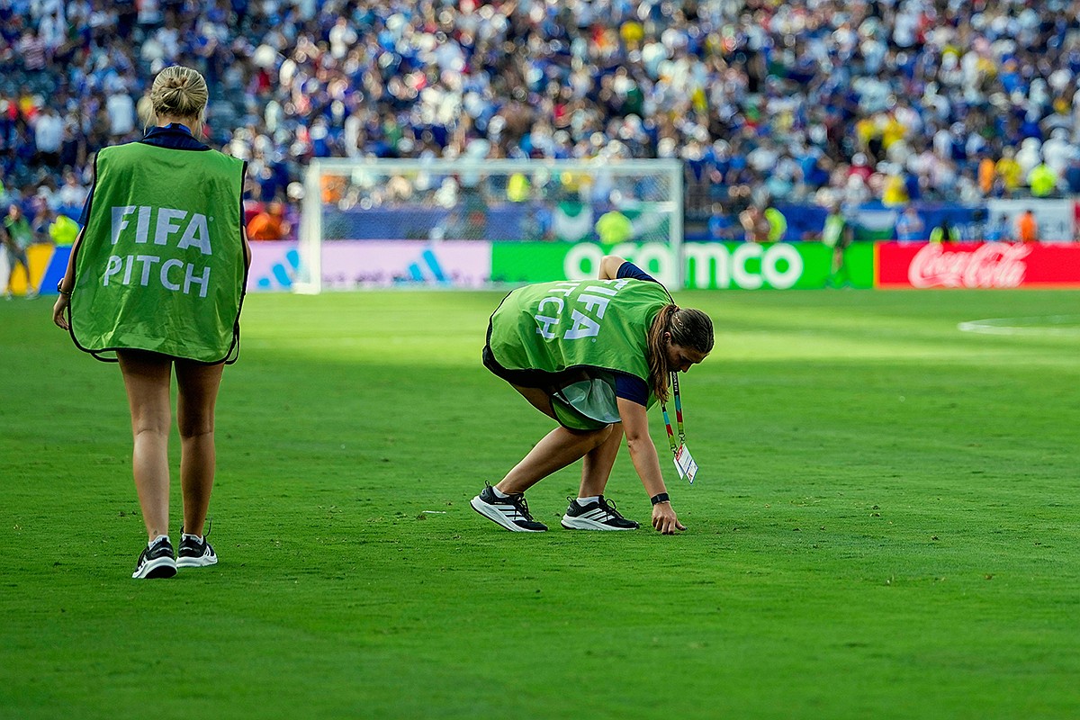 World Cup final field will be sold off in $450 pieces after match