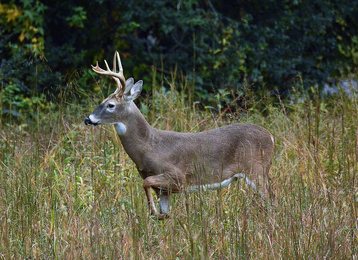 Case: You may finally understand it all outdoors, but I still don’t