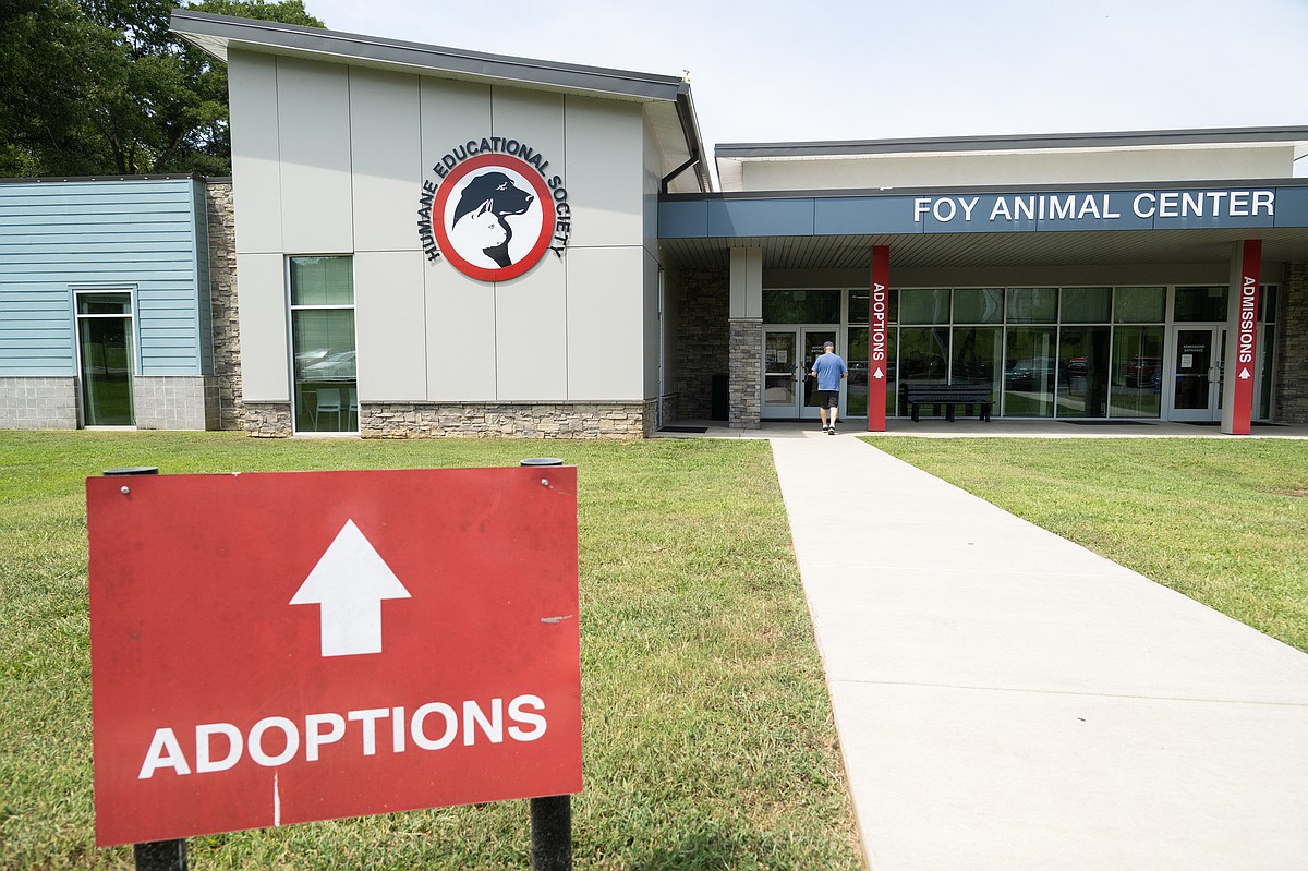Lawsuit alleges dog attack during Hamilton County shelter adoption meeting