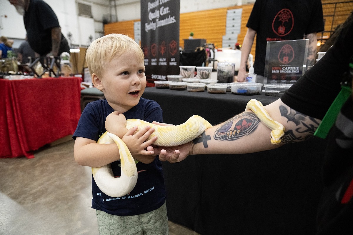 Things to do in the Chattanooga area this weekend include Biker Fest, Food Truck Rally, exotic pet expo
