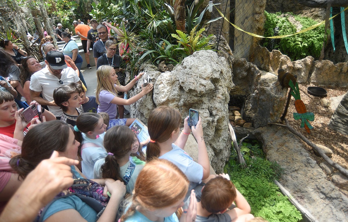 Local attractions draw bigger crowds as Labor Day closes out summer with high gas prices and temperatures