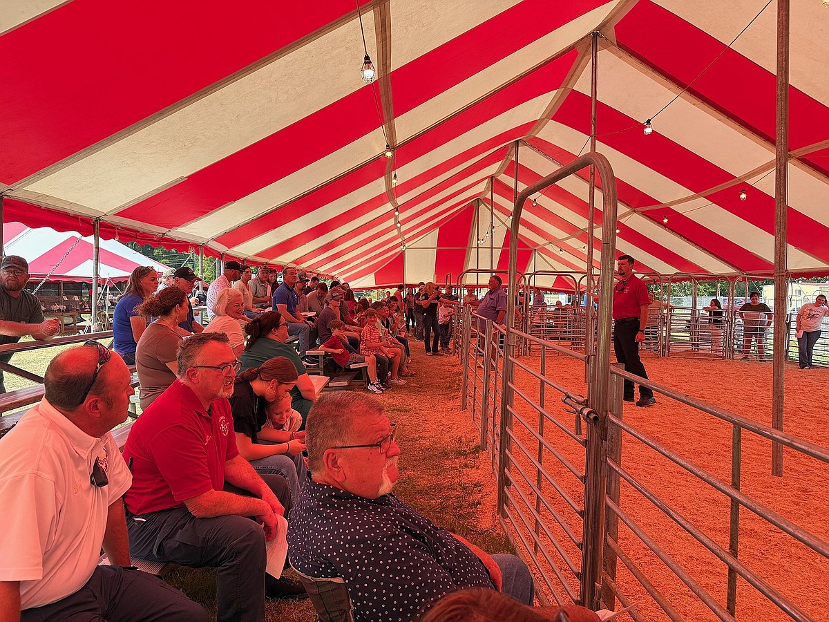 Fair returns to Ouachita County | Camden News