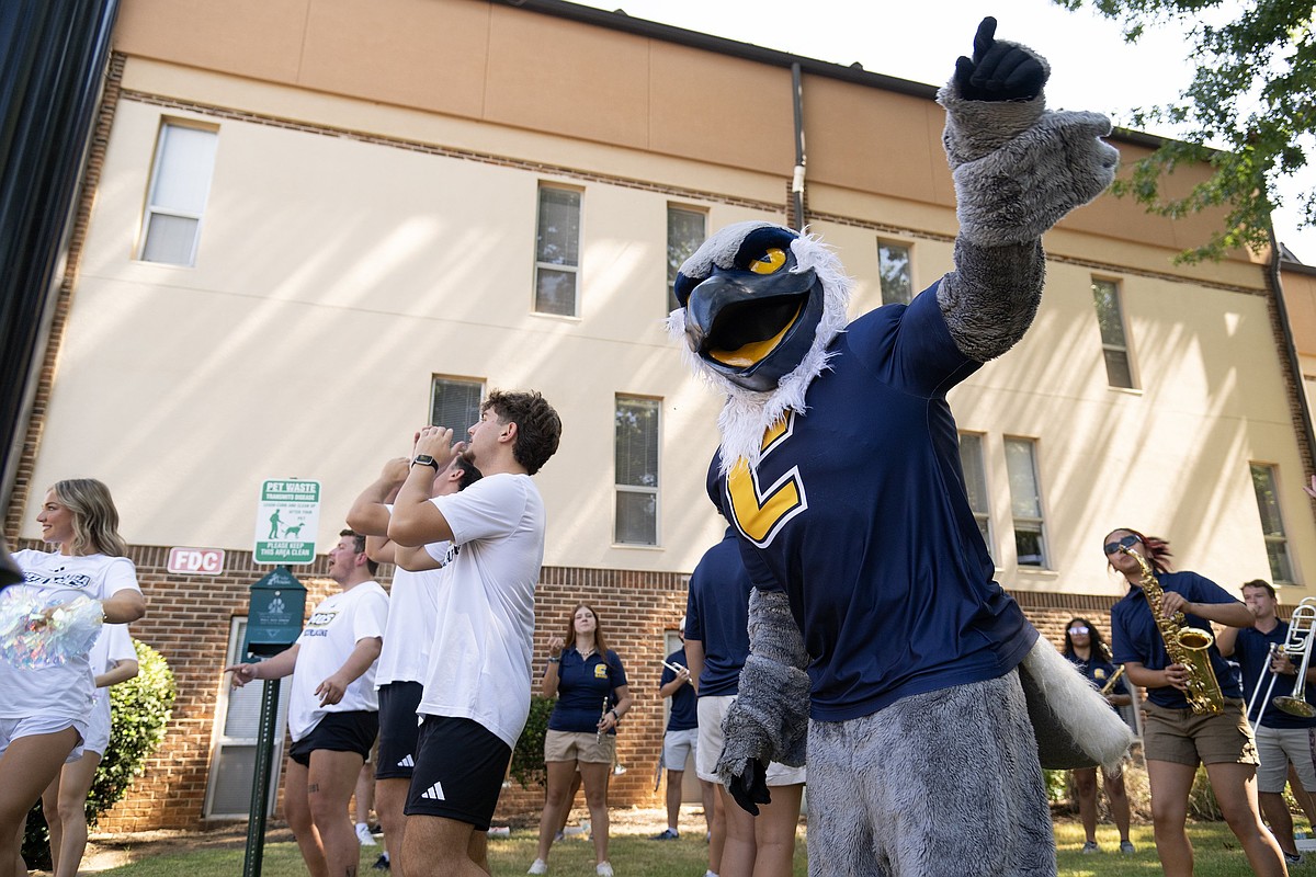 Chattanooga area colleges report growing graduate programs, breaking enrollment records | Chattanooga Times Free Press