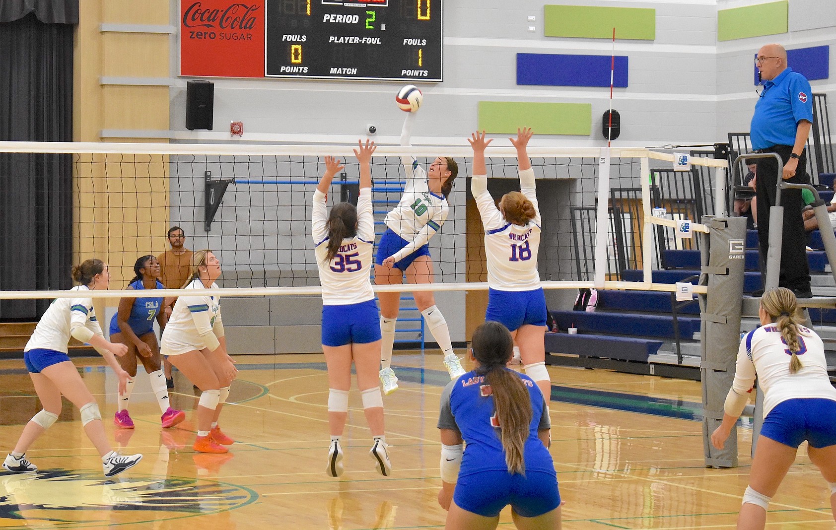 Photo Sign Committed Alabama commit Sydney Heisig leads list of Chattanooga area’s top ...