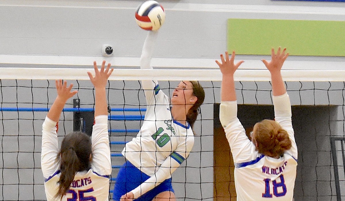 CSLA volleyball makes history with first-ever TSSAA state tournament ...