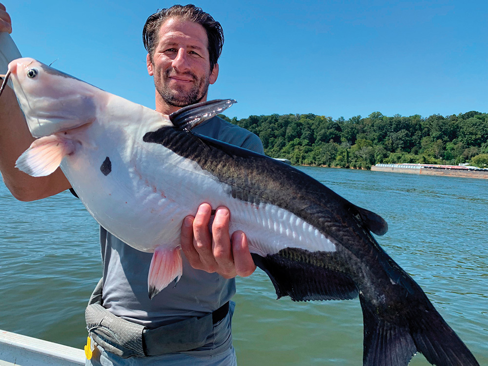 Bucks of America - Kentucky Catfish Blue on Charcoal/White