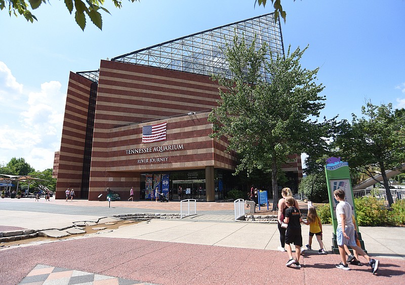 Staff photo by Matt Hamilton / Visitors walk to the Tennessee Aquarium on Friday, July 1, 2022.