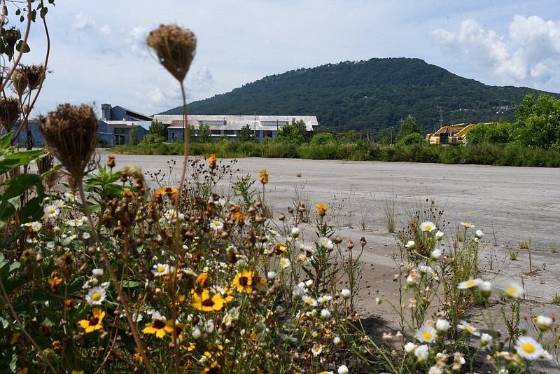 Staff photo by Robin Rudd / Wildflowers bloom along the fence protecting the former Wheland Foundry site on June 14. The former foundry is the site of a proposed redevelopment on the Southside, including a new stadium for the Chattanooga Lookouts.