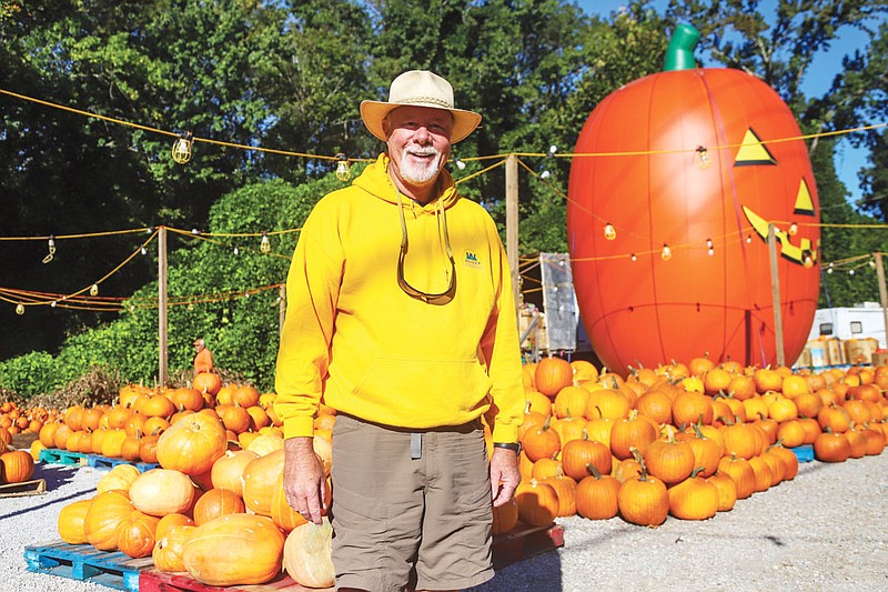 Photography by Olivia Ross / John Weaver of Weaver Tree Farms surveys his stock of pumpkins and other fall decorations at the gravel lot on Signal Mountain Road. The lot will soon be stocked with Fraser Firs.