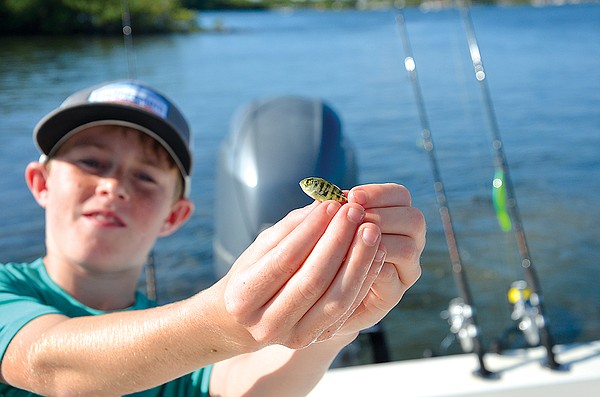 Summer Bass Fishing Lures