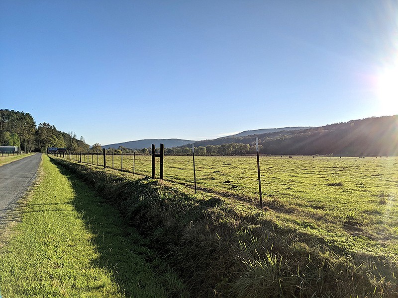 Photo by Kelsey Keener / Farmland in Jackson County, Alabama