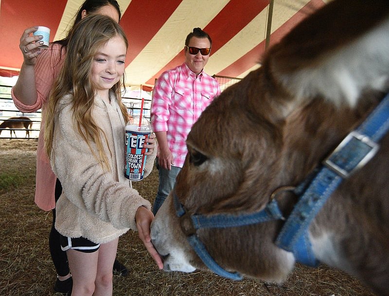 Dalton's agricultural fair returns, organizers promise it will be