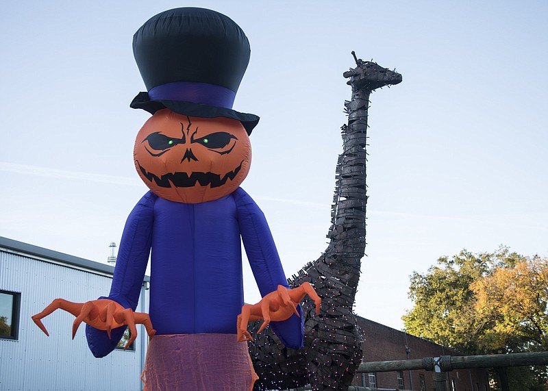 Staff file photo / Chattanooga Zoo will celebrate Boo in the Zoo weekends through October.