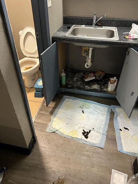 Photo By Coty Wamp / Pet feces on the floor of one of the rooms in the Budgetel Inn seen during a walk-through on Wednesday night by Hamilton County District Attorney Coty Wamp.