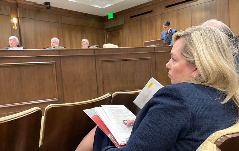 Kathy Walsh, executive director of the Tennessee Coalition to End Domestic and Sexual Violence, attends a legislative hearing in May 2022. Tennessee Legislature photo