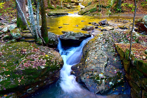 Escape to the Enchanted Forest: Tennessee's Laurel-Snow State Natural Area