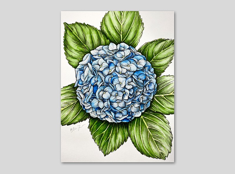 "Blooming Nantucket Blue Hydrangea" by Elena Johnson