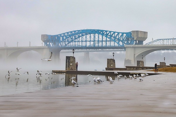 Photo of the Day | Chattanooga Times Free Press