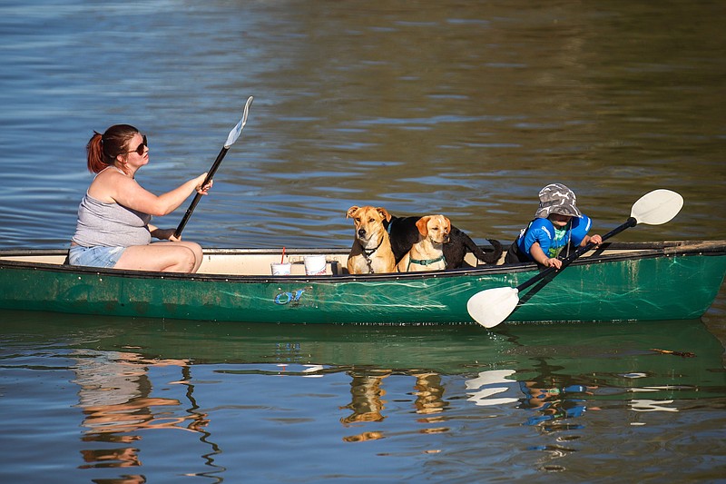 Photo of the Day  Chattanooga Times Free Press