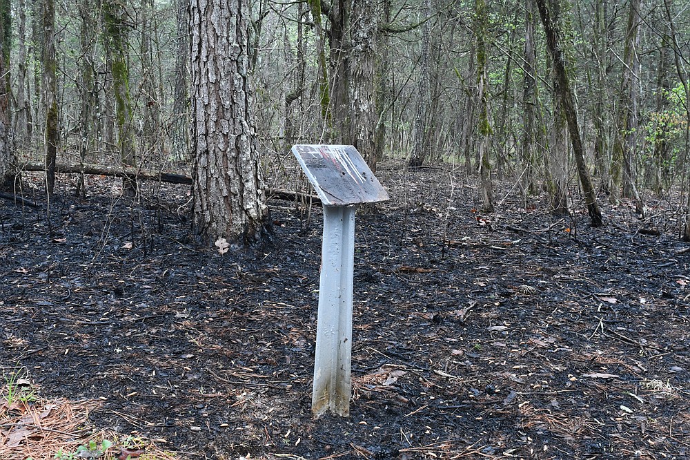 Prescribed fire at Chickamauga Battlefield | Chattanooga Times Free Press