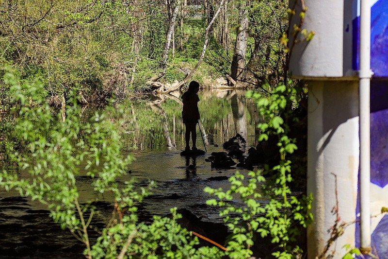 Photo of the Day  Chattanooga Times Free Press