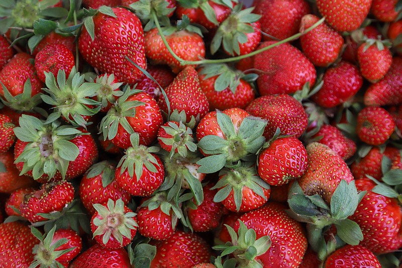 Staff Photo by Olivia Ross / Strawberries from Red Clay Farm are set out at the Ooltewah Farmers Market on Thursday.