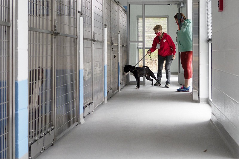Staff Photo / In 2021, Rachel Myers, right, helps lead Jane Overbook, center, and Den towards Den's kennel at the Humane Educational Society's Foy Animal Shelter in Chattanooga.