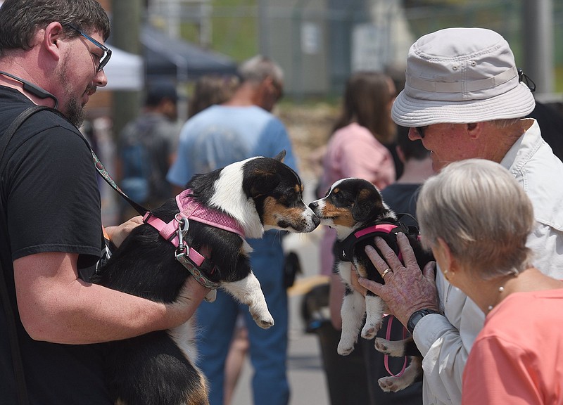 Photo of the Day  Chattanooga Times Free Press