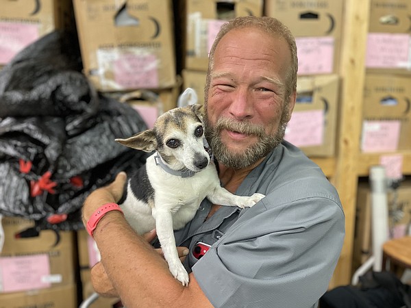 Kennedy: Shelter dog saves new owner's life | Chattanooga Times Free Press - Vimarsana News