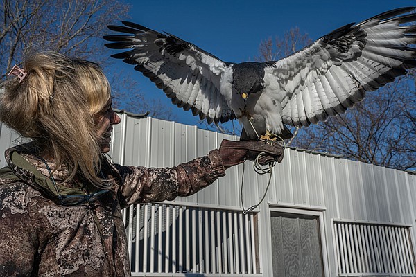 Master falconer sues three TWRA officers after sweeping home search, seizure of 13 raptors - Vimarsana News