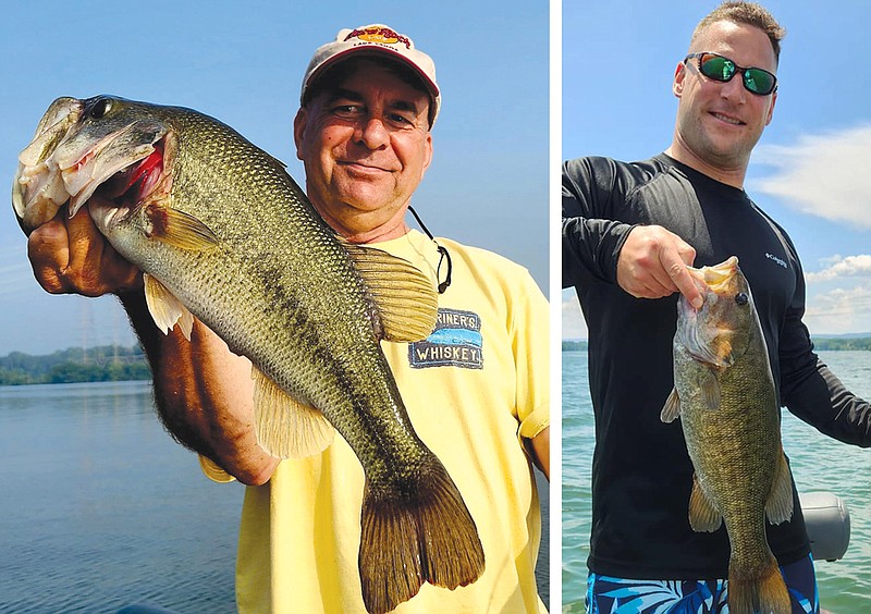 Photos contributed by Scenic City Fishing Charters / Anglers look forward to Chickamaugas fall frog bite, when big largemouth bass slam lures on the surface through matted vegetation.