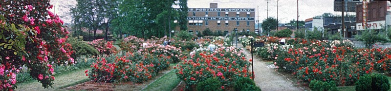Contributed photo from ChattanoogaHistory.com / This late 1950s image was taken from 8mm film shot by Hixson resident Don Vance. It shows the rose garden at Warner Park, which existed from the 1950s until 2007, when it was removed to improve drainage at the park.