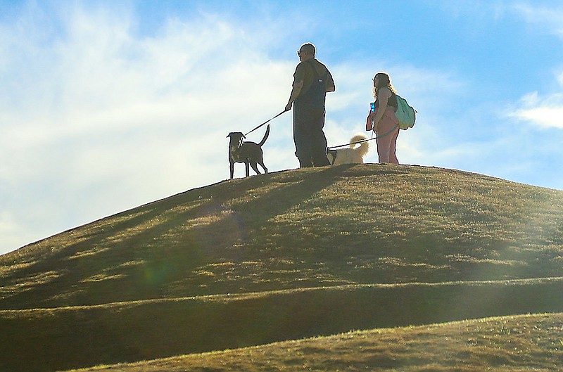Staff Photo by Olivia Ross / Two people stand with their dogs at the top of the hill in Renaissance Park in 2022. Chattanooga was rated as one of the top 10 most pet-friendly cities for renters by Zumper.