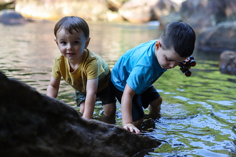 Photo of the Day  Chattanooga Times Free Press