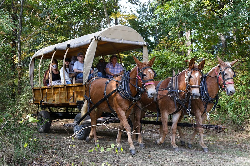 Staff file photo by Olivia Ross  / Horses pull passengers in a wagon at the 2022 Ketner's Mill County Arts & Crafts Fair. This year's festival will be Oct. 21-22 in Whitwell, Tenn.