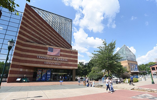 Opinion: That Tennessee Aquarium Pride | Chattanooga Times Free Press - Vimarsana News
