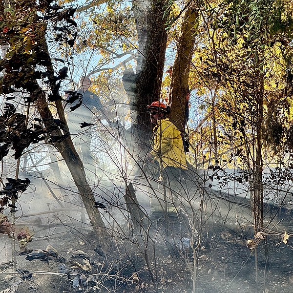 Bradley authorities seek help from public after string of brush fires