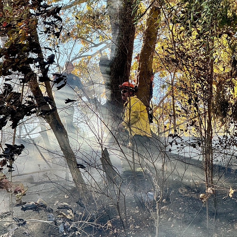 Bradley County Fire and Rescue / Crews with Bradley County Fire and Rescue battle a series of brush fires Sunday that authorities believe were intentionally set along Dalton Pike.