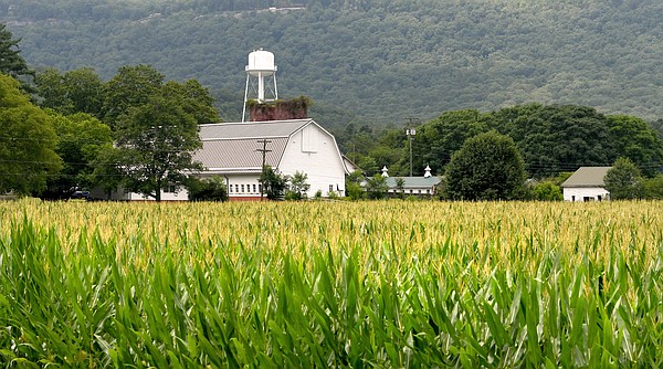 McDonald Farm in Sale Creek prepped, ready for 2023 Hamilton County Fair - Vimarsana News
