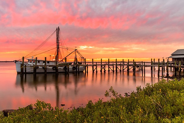 Winter getaway: Florida escape Amelia Island offers dolphins, marshes, wild horses, history - Vimarsana News