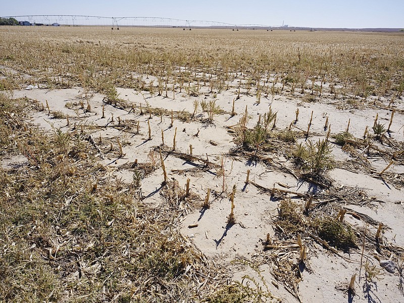 File photo/David Robert Elliott/The New York Times / A dry field near Garden City, Kansas, is shown on Oct. 17, 2023. Groundwater levels are falling in much of the country, often the result of overpumping and underregulation, made worse by climate change.