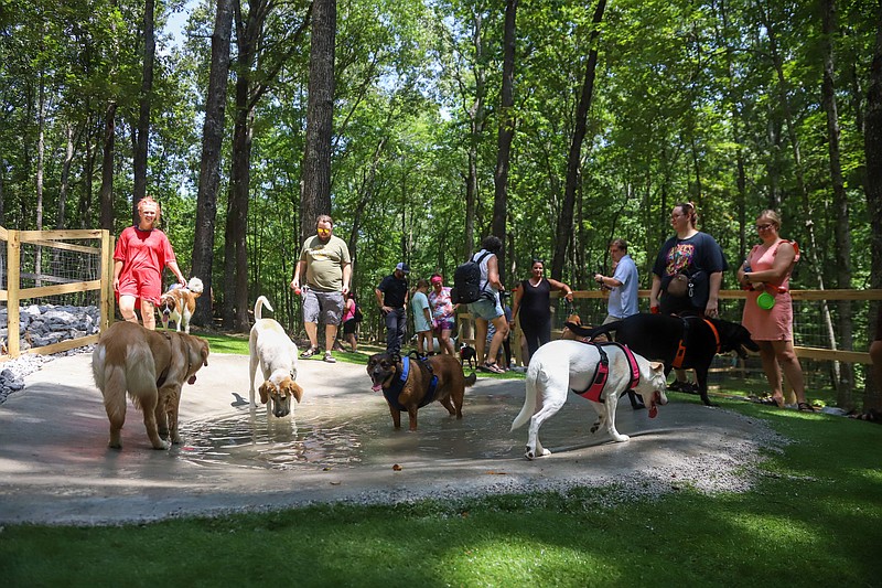 Staff file photo by Olivia Ross / Owners watch as their dogs play in the water at the grand opening of Barks and Tails Dog Park at Enterprise South Nature Park.