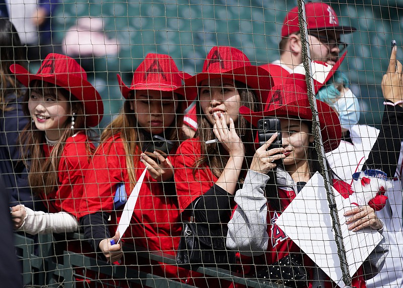 AP photo by Lindsey Wasson / Fans of MLB star Shohei Ohtani wait for him to walk out of the Los Angeles Angels' dugout before a game against the host Seattle Mariners on April 5.