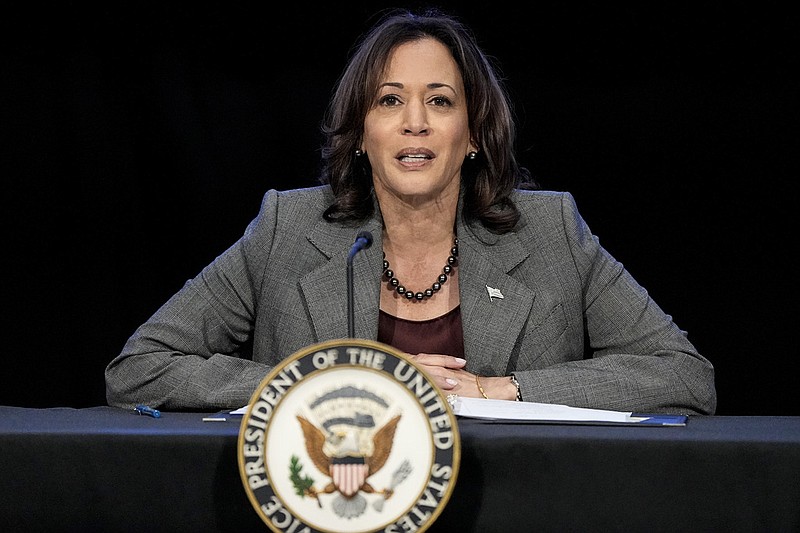 VP Kamala Harris Calls Georgia ‘ground Zero’ For Voting Rights In 2024 ...