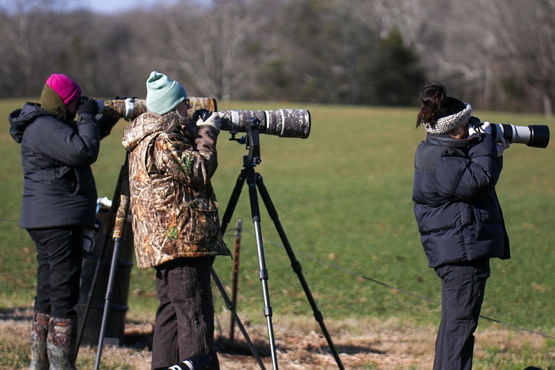 Staff photo by Olivia Ross / Photographers watch the cranes Jan. 14 as the 33rd Annual Sandhill Crane Festival returned at the Hiwassee Refuge with live music, vendors and sandhill crane viewing. Reflection Riding will host a sandhill crane expedition from 1-5:30 p.m. Saturday.