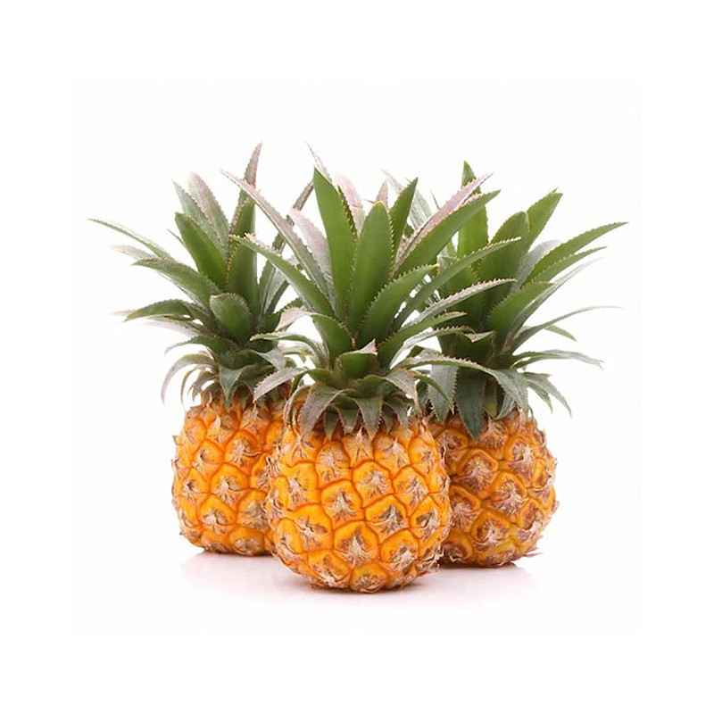 Contributed Photo / Fresh Del Monte's new Precious Honeyglow pineapples weigh between 1.5 and 2 pounds, about half the weight of a traditional pineapple. The smaller option is designed to reduce food waste, particularly for single-person households.