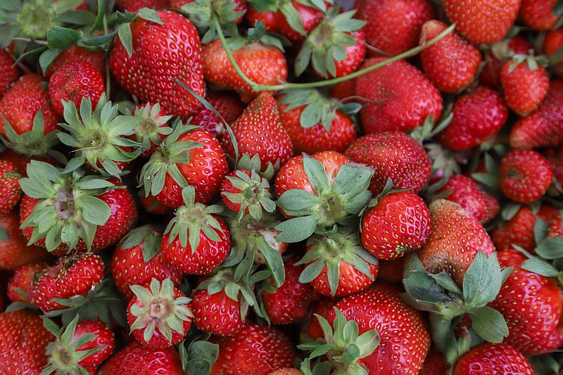 Staff photo by Olivia Ross / Strawberries are pictured at a farmers market in 2023. Tennessee farmers shared in $36 million in patronage payments last month from Farm Credit Mid-America.