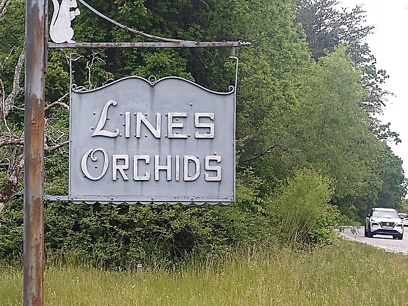 Staff photo by Mike Pare / A Lines Orchids sign is shown at the corner of Taft Highway and Timesville Road in Walden. A developer has proposed a grocery store at the site as part of a town center.